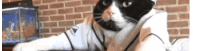 a black and white cat is wearing headphones and a baseball uniform
