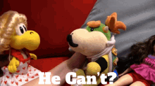 Sml Bowser Junior GIF - Sml Bowser Junior He Cant GIFs