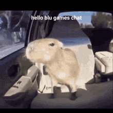 Blu Games Chat GIF - Blu Games Chat Capybara GIFs
