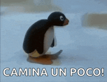 a penguin is walking in the snow with the words camina un poco written below it .