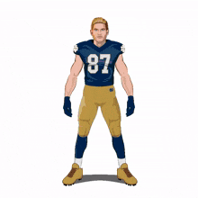 nfl collectibles
