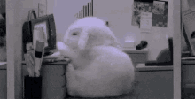 Work Bunny GIF - Work Bunny Sleep GIFs