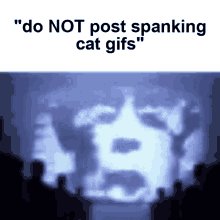 Spanking Cat GIF - Spanking Cat Gif GIFs