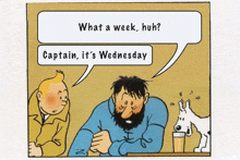 Wednesday Captain GIF - Wednesday Captain GIFs