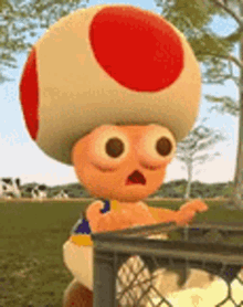 Toad What GIF - Toad What GIFs