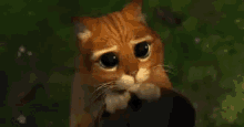 Puss In Boots Cute GIF - Puss In Boots Cute Big Eyes GIFs
