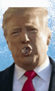 Trump Chirping Chirping GIF - Trump Chirping Chirping Chirp GIFs