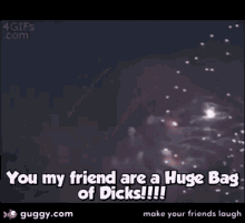 you my friend huge bag of dicks fireworks