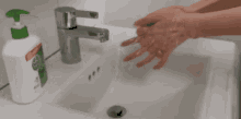 Italian Wash Hands Faucet GIF