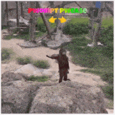 Promptplease2 GIF - Promptplease2 GIFs