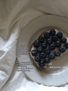 a white plate with a slice of bread with blueberries on top