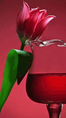red flower glass wine