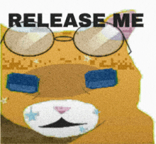 a cat wearing glasses and the words release me
