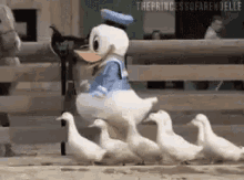 Ducks Donald Duck GIF - Ducks Donald Duck Squad GIFs