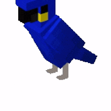 minecraft parrot