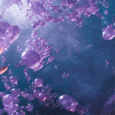 a group of purple jellyfish are swimming in the ocean