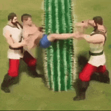 a group of men are holding a man in their arms while standing next to a cactus .