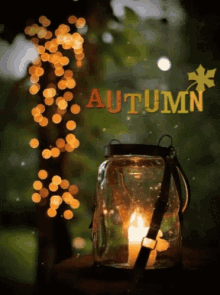Arsthetic Autumn GIF - Arsthetic Autumn Fall GIFs