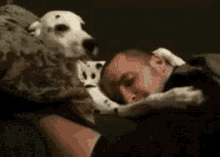 Caring Doggylove GIF - Caring Doggylove Therethere GIFs