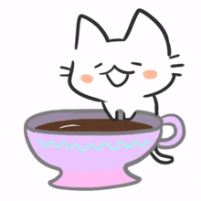 animal cat kitty cute coffee