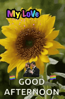 a picture of a sunflower with the words " my love good afternoon " below it