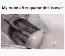 Quarantine After GIF - Quarantine After Mayo GIFs
