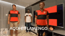 Aquiéflamengo Flamengo GIF - Aquiéflamengo Flamengo Ivo Meirelles GIFs