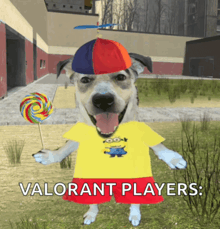 a dog wearing a hat and holding a lollipop with the words valorant players below him