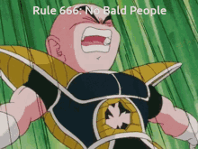 Dragon Ball Rules GIF - Dragon Ball Rules Bald GIFs