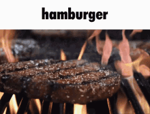 hamburger burger