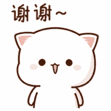 thx thanks xie xie cat kitten thx thanks xie xie cat kitten
