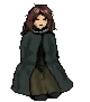 a pixel art drawing of a woman wearing a green cape .