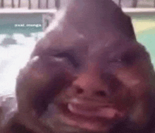 a close up of a person 's face with a huge nose .