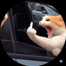 a cat is giving the middle finger while looking out of a car window