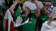 Palmeiras Torcedor GIF - Palmeiras Torcedor Alegria GIFs