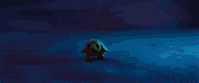Ainbo Ainbo Turtle GIF - Ainbo Ainbo Turtle Ainbo Baby Turtle GIFs