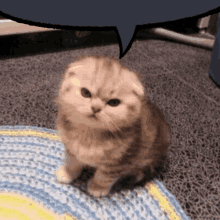 Angry Kitten Cat Face Emoticon