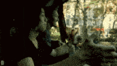 two people looking out of a car window with the letter d in the lower right corner
