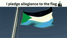 a man in a suit stands next to a flag with the words i pledge allegiance to the flag above it