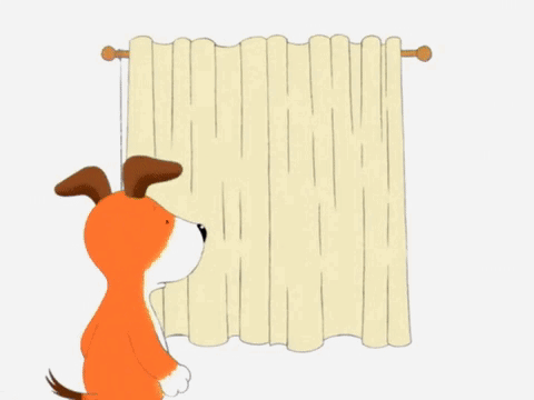 Kipper opens the curtains to find a wet bird