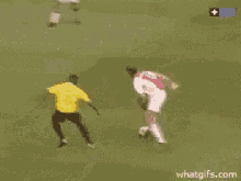 Ibrahimovic Goal GIF