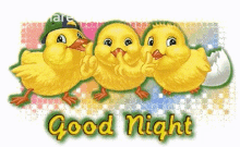 Good Night Chicks GIF - Good Night Chicks Good Evening GIFs