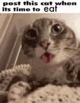 a cat with its tongue hanging out is laying on a blanket .