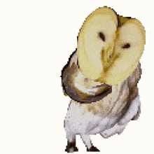 a white owl is holding a sliced apple in its beak