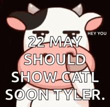a picture of a cow with the words " hey you 22 may should show catl soon tyler " on it
