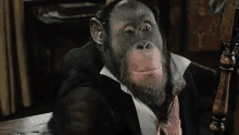 Link Buttler GIF - Link Buttler Orangutan GIFs