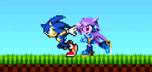 Sash Lilac Sonic GIF