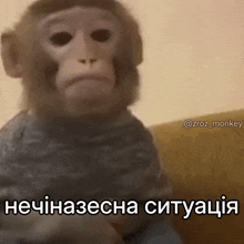 a monkey is sitting on a couch with a caption in another language