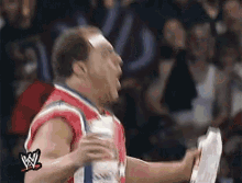 Excited Wwe GIF - Excited Wwe GIFs