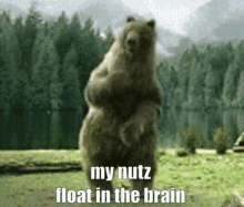 My Nutz Float In The Brain GIF